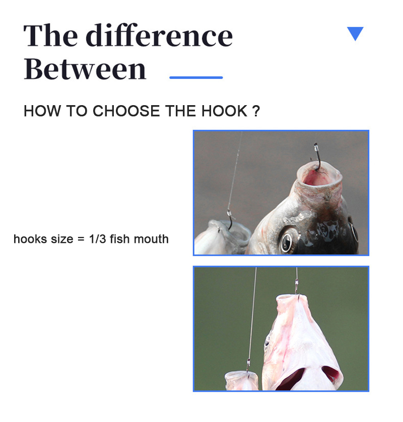 10 par haczyków wędkarskich z  – Fishing Hook Assortment recenzja i cena